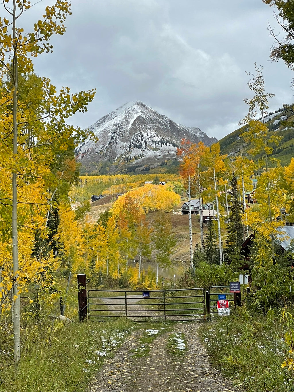 Golden Mountains: A Family Guide to Crested Butte's Golden Aspens