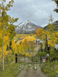 Golden Mountains: A Family Guide to Crested Butte's Golden Aspens