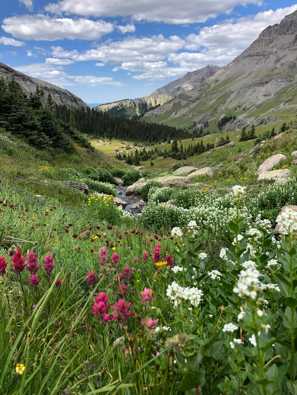 High Country Escape: Telluride With Kids - 2 Day Family Adventure Itinerary