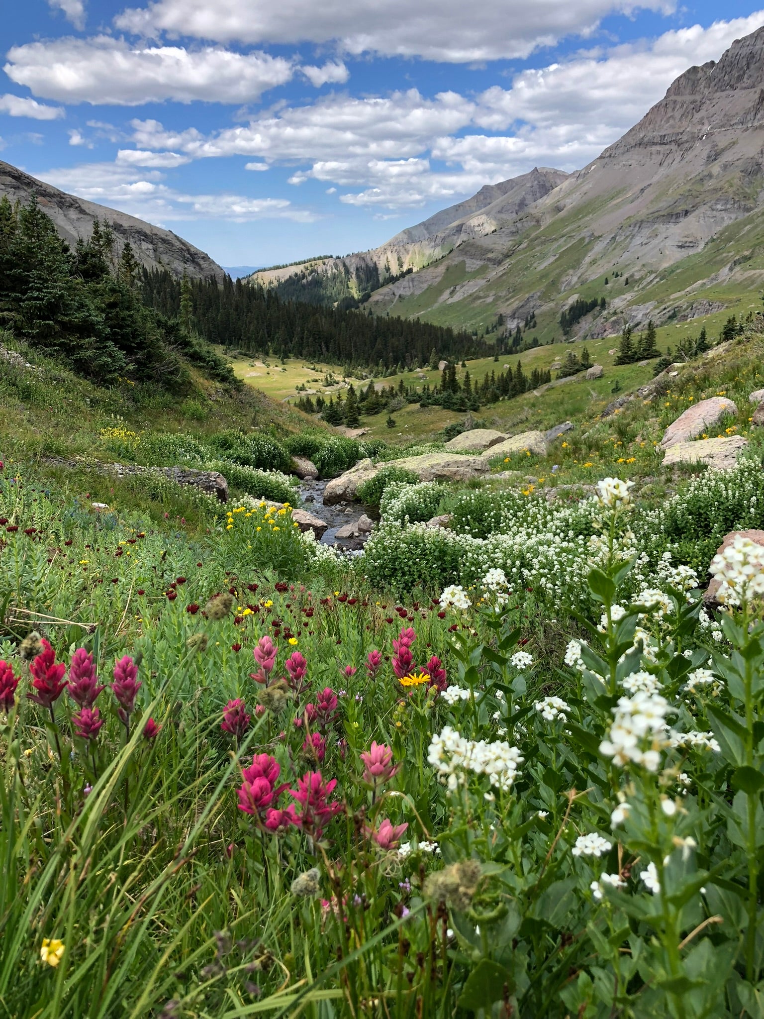 High Country Escape: Telluride With Kids - 2 Day Family Adventure Itinerary