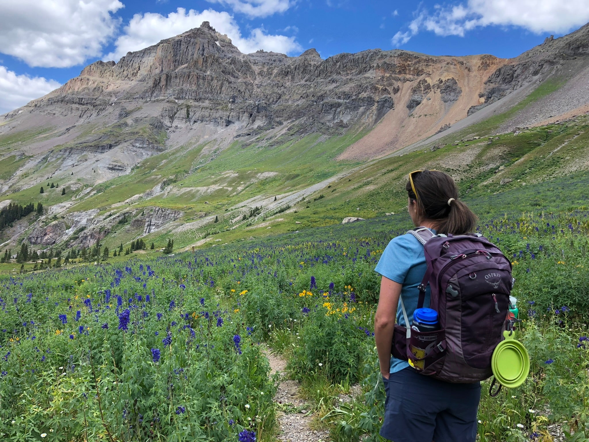 High Country Escape: Telluride With Kids - 2 Day Family Adventure Itinerary