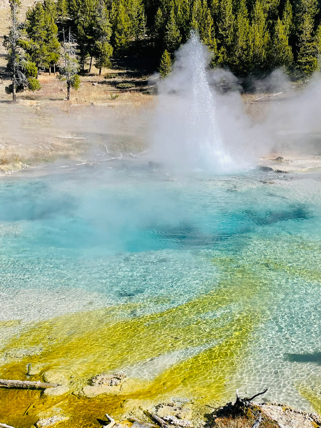 Yellowstone National Park Itinerary with Kids (3-days)