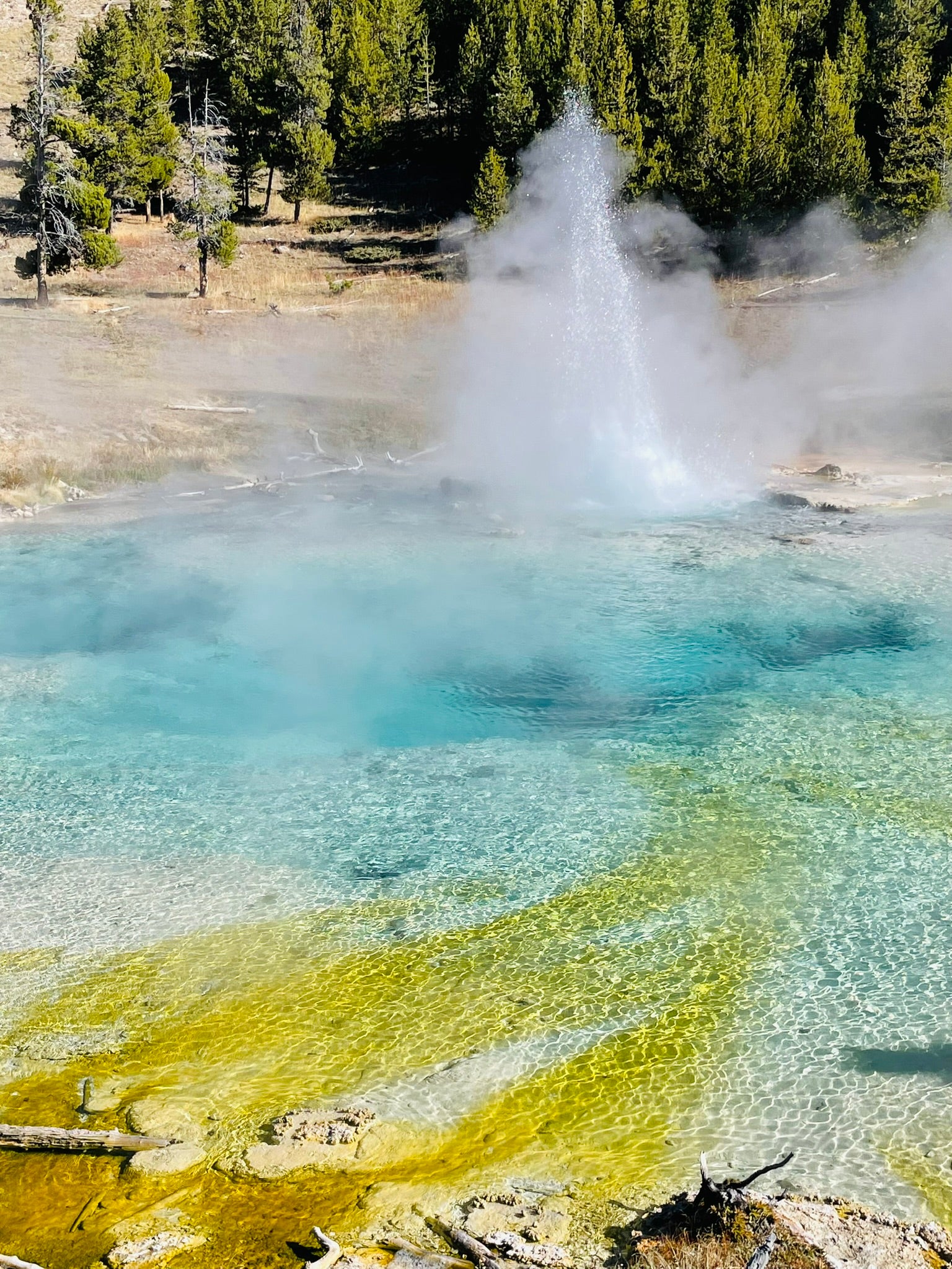 Yellowstone National Park Itinerary with Kids (3-days)