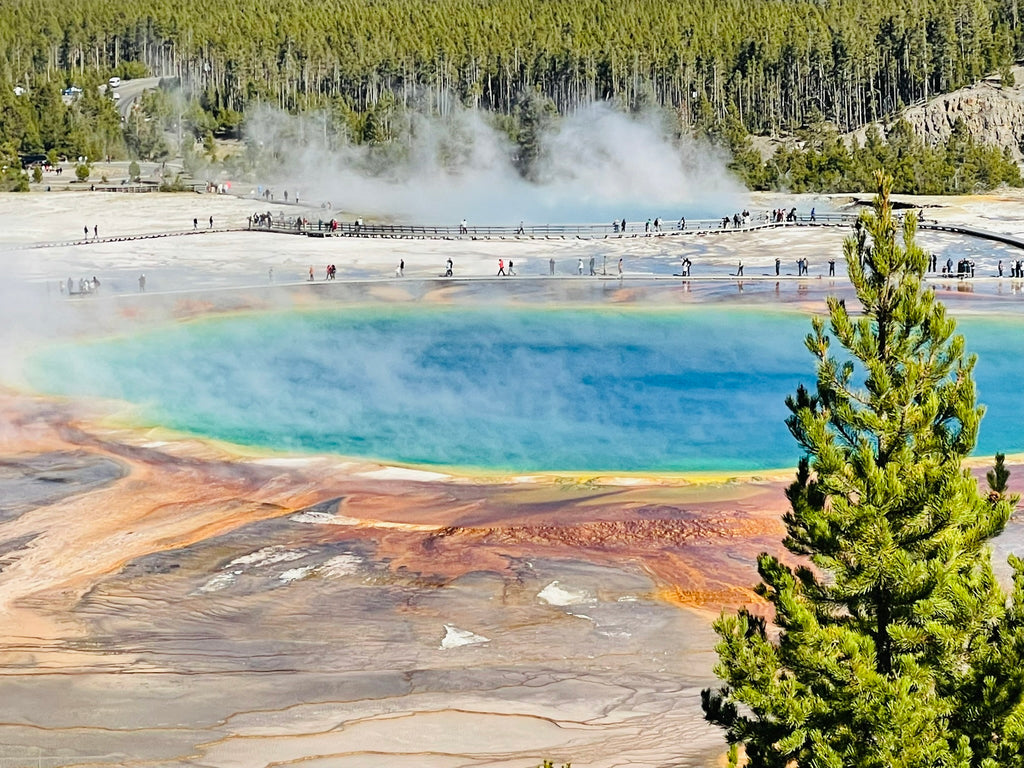 Yellowstone National Park Itinerary with Kids (3-days)