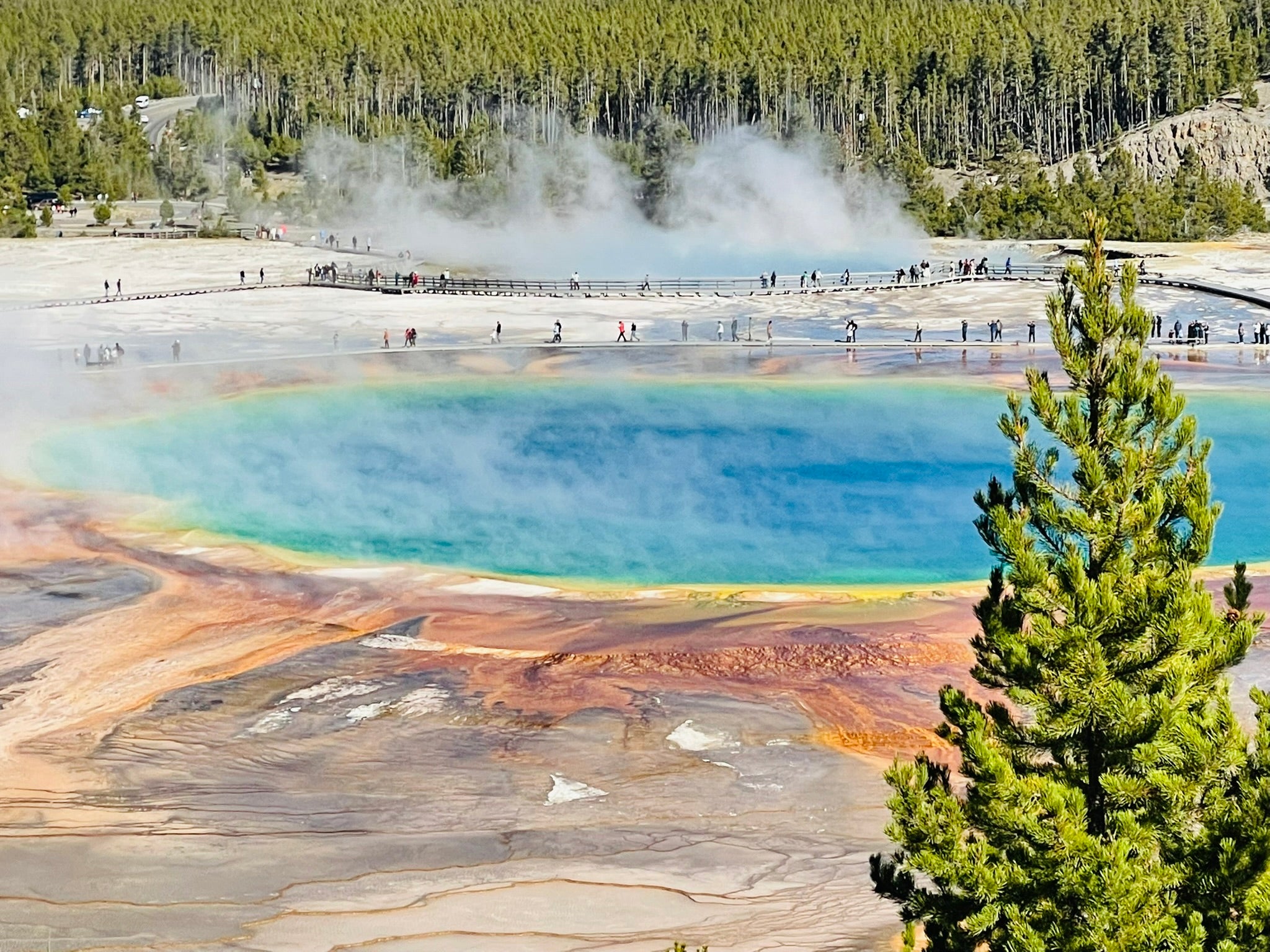 Yellowstone National Park Itinerary with Kids (3-days)