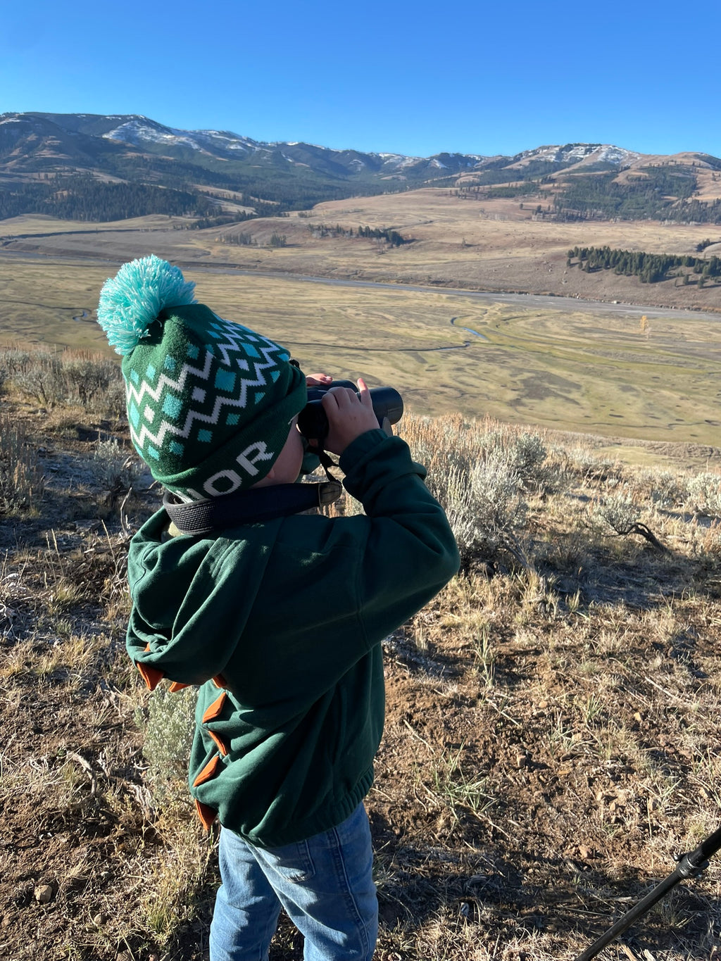 Yellowstone National Park Itinerary with Kids (3-days)