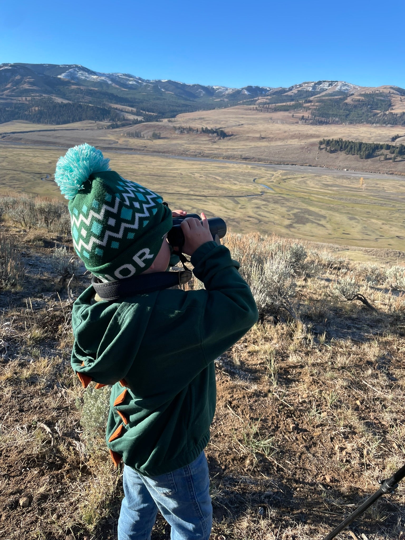 Yellowstone National Park Itinerary with Kids (3-days)