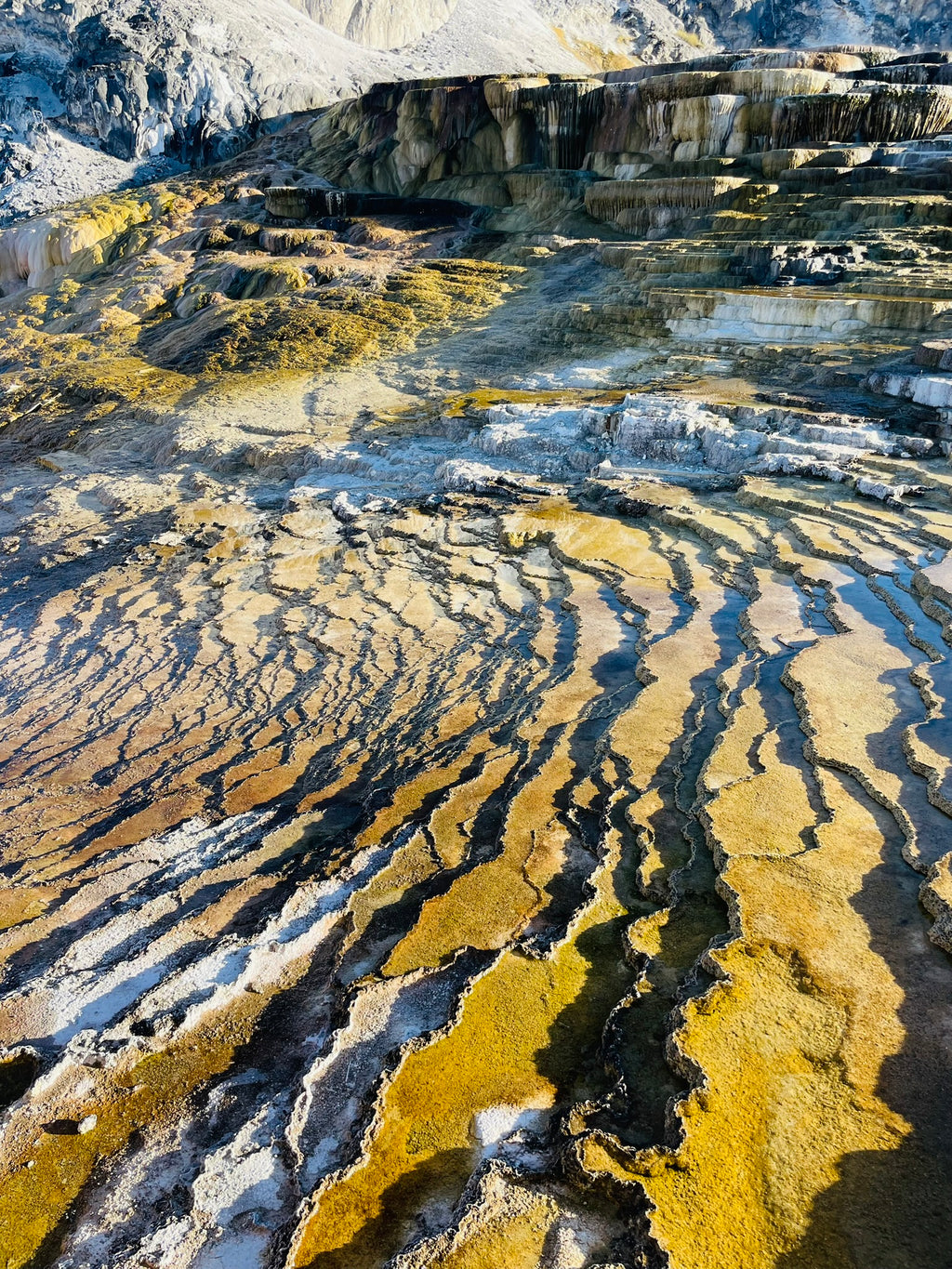 Yellowstone National Park Itinerary with Kids (3-days)