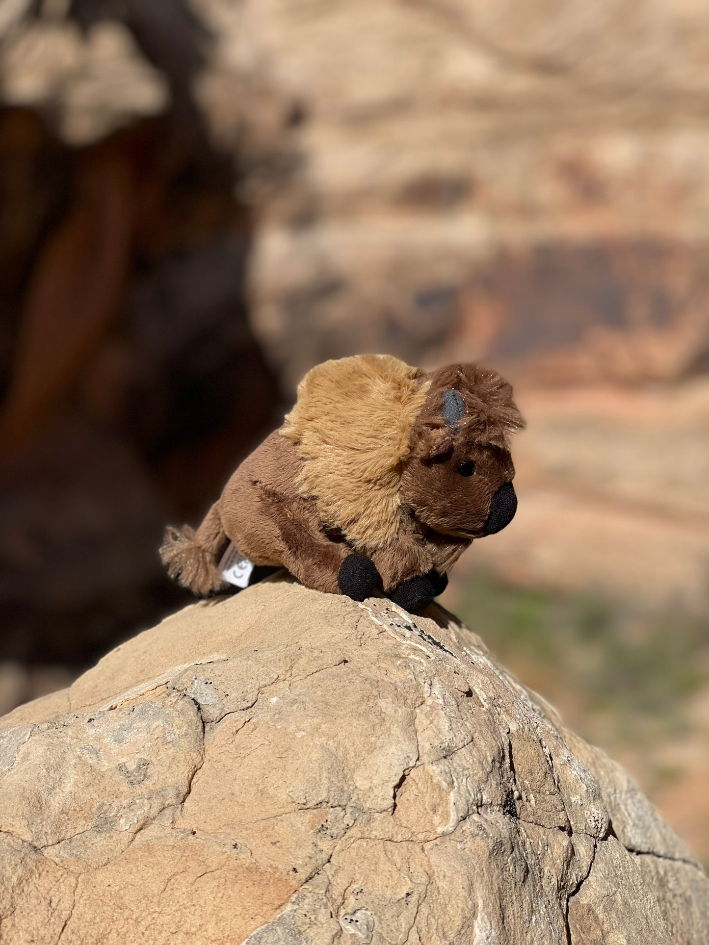 Rocky Mountain Ranger - A Wild Mountain Adventure Kit