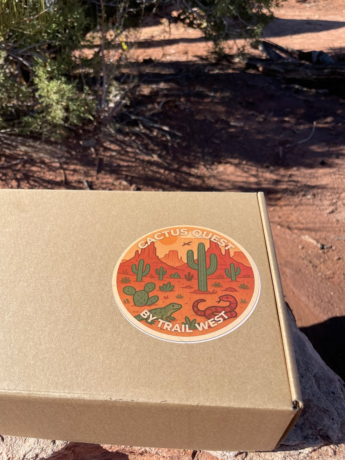 Cactus Quest - A Desert Adventure That Blooms with Imagination