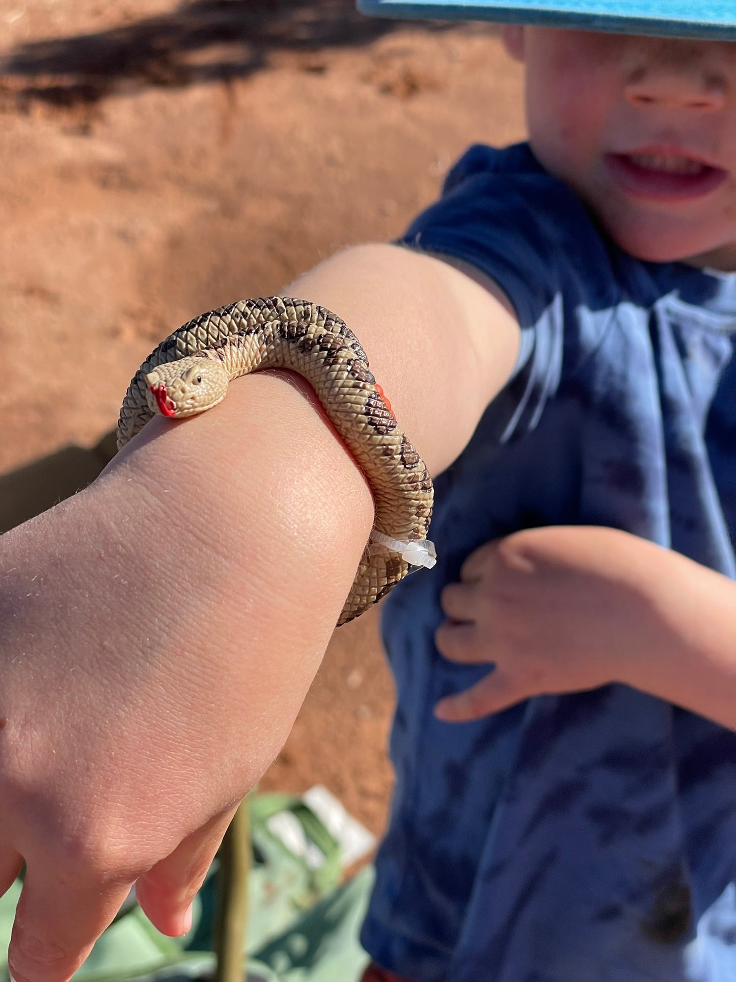 Cactus Quest - A Desert Adventure That Blooms with Imagination